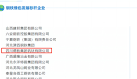 沙灣發(fā)布6月6日報道:釩鈦榮獲“綠色發(fā)展標(biāo)桿企業(yè)”